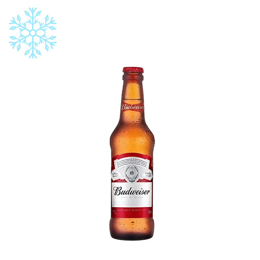 Cerveja Budweiser long neck 330ml