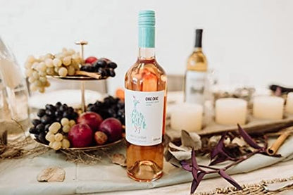 Vinho Argentino Chac Chac Malbec Rosé 750ml