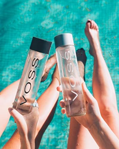 Água Mineral Natural Voss Com Gás 375ml